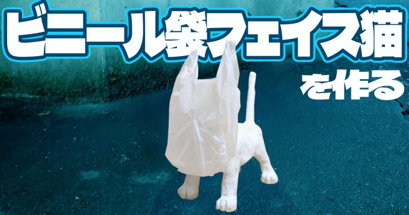 【工作】ビニール袋フェイス猫を作る