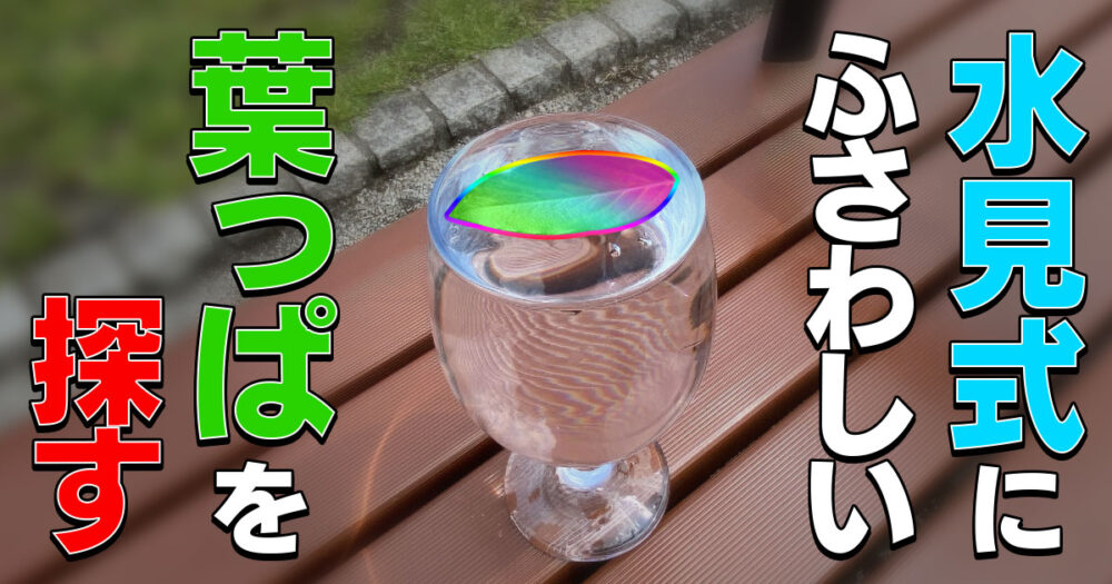 「水見式にふさわしい葉っぱ」を探して散歩する