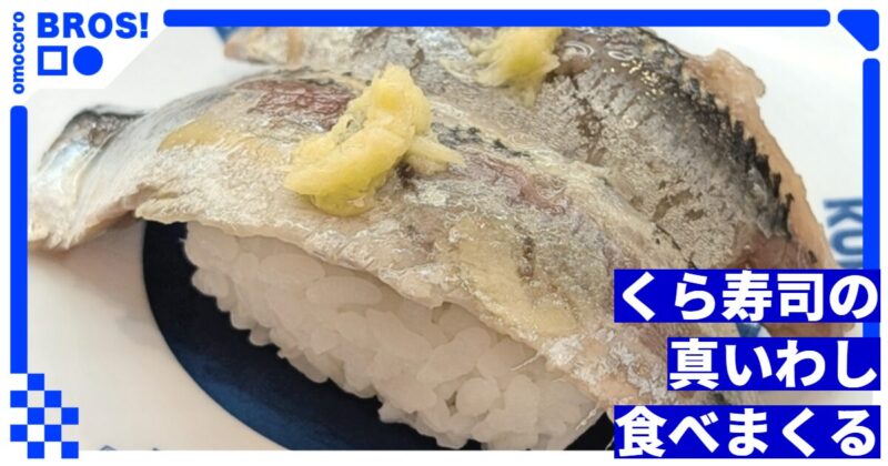 くら寿司の「真いわし」がマジで美味いので、それだけを食べる日