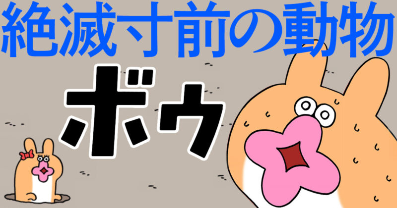【漫画】絶滅寸前の動物ボゥ