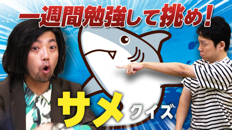 1週間で「サメ」の知識をインプットしまくってクイズに挑め！ 1週間マジ勉強クイズ